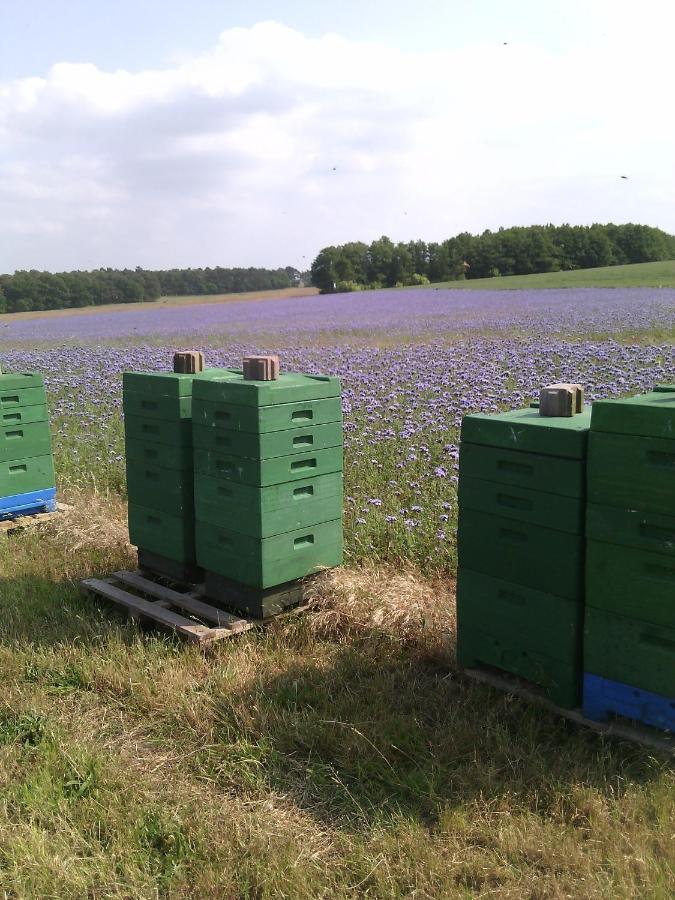KägsdorfBlockhaus别墅 外观 照片